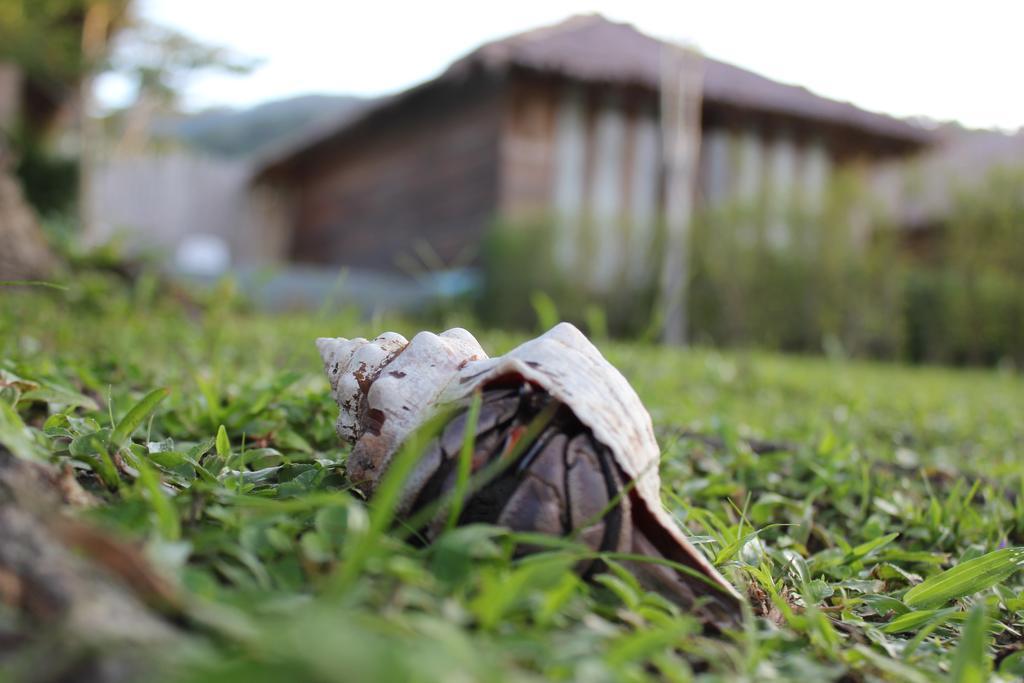 浦岛别墅度假村 俊穆岛 外观 照片